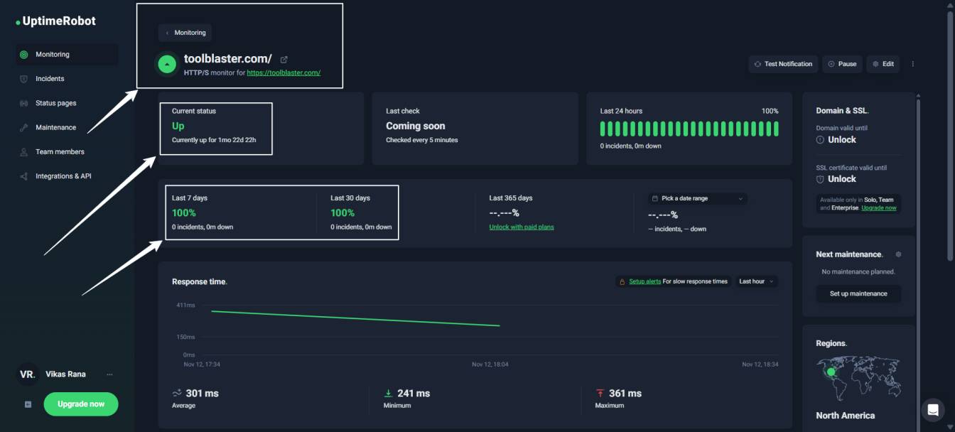 UptimeRobot Graph Showing 100% Uptime for Verpex